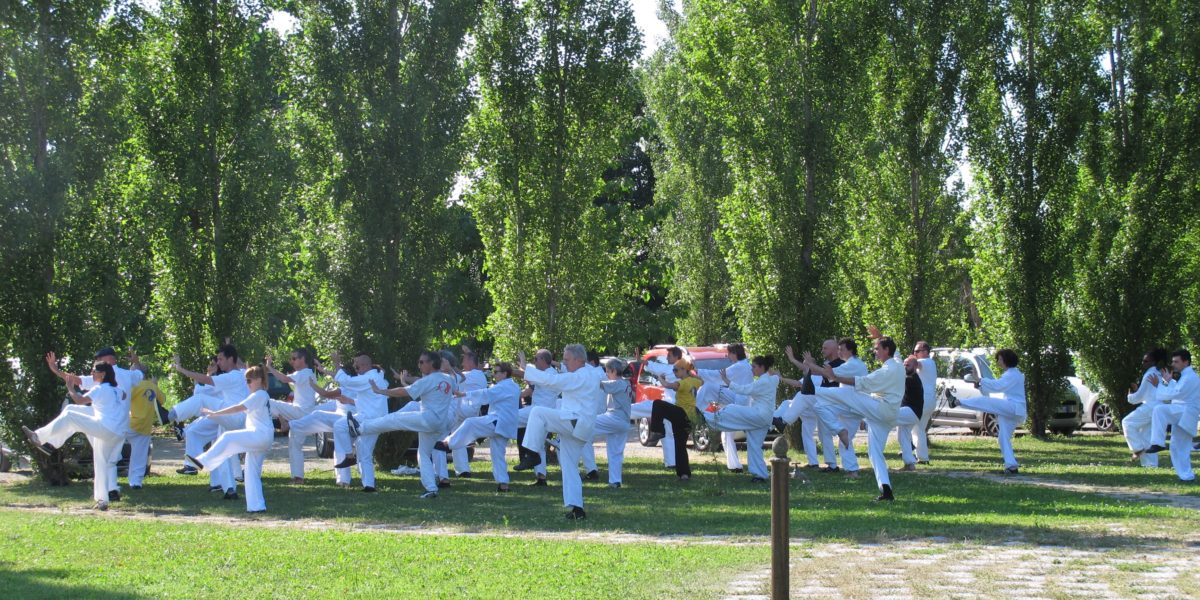 2014 Pescantina, Essere Istruttori
