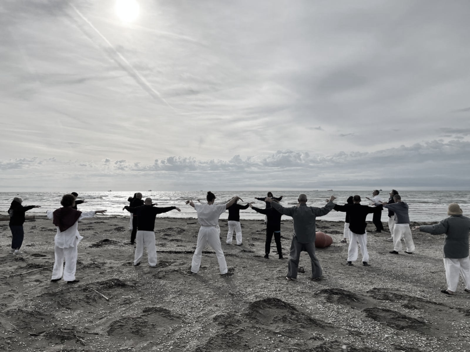 Centro ricerche Tai Chi - italia