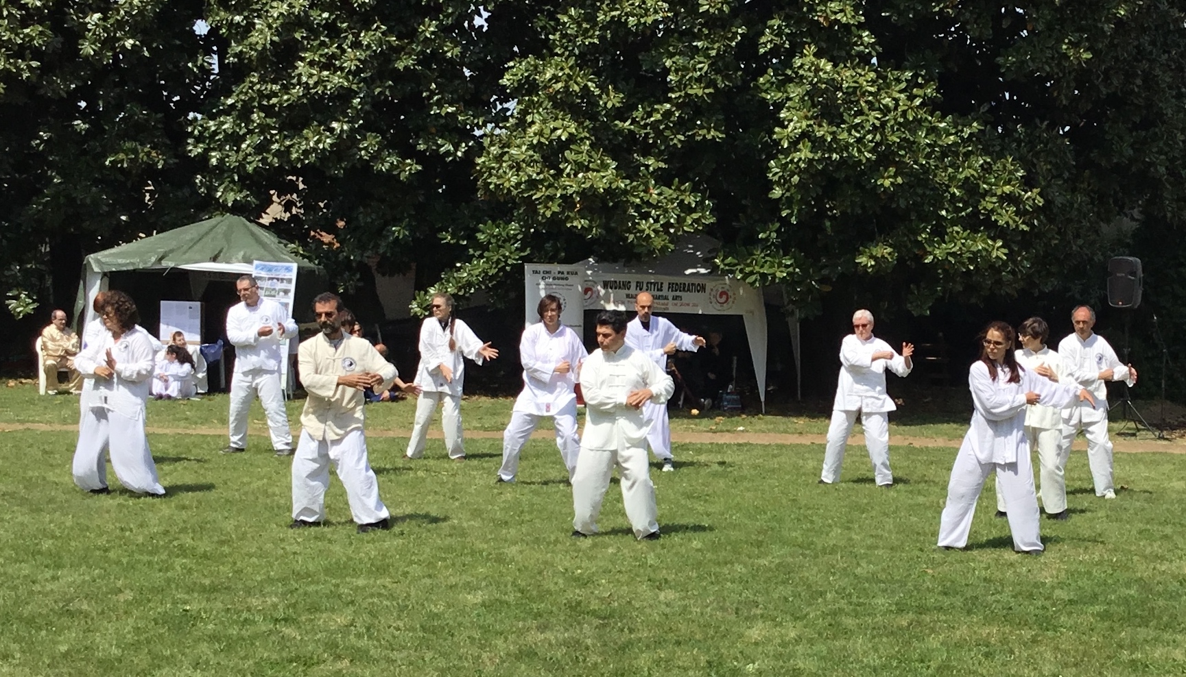 Castello di Belgioioso, Tai Chi Chi Kung