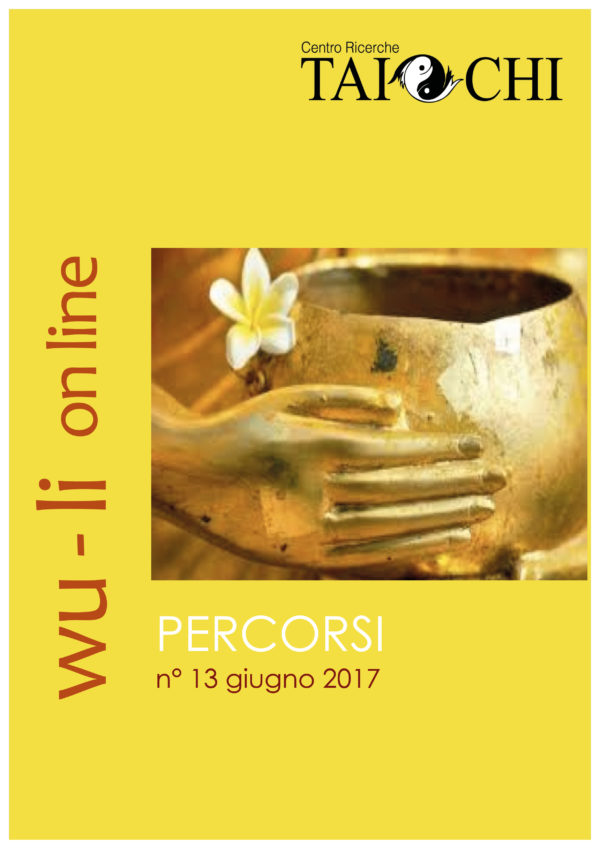 N°13 Giugno 2017