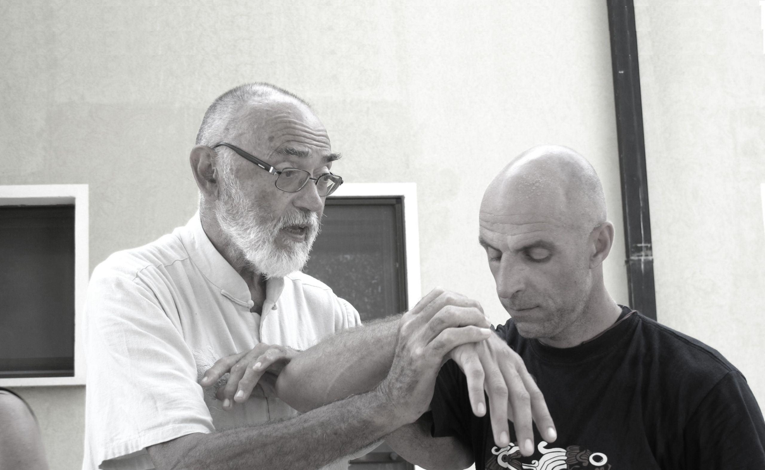 Centro ricerche Tai Chi - italia